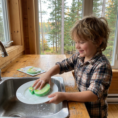 Fruit-Shaped Pop-Up Cellulose Sponges – 3-Pack of Plant-Based, Non-Scratch Kitchen Sponges
