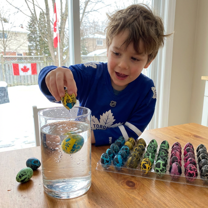 Hatching Dinosaur Egg Kit – Grow-in-Water Dino Eggs with Surprise Toys
