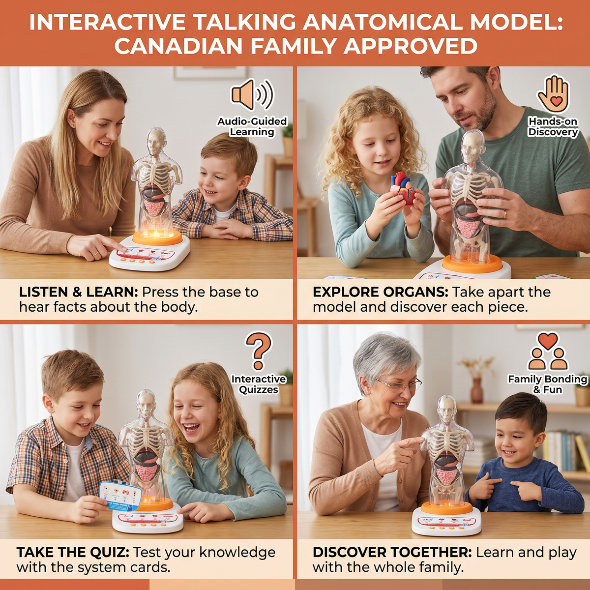 Interactive Talking Anatomical Model with Removable Organs & Audio-Guided Learning