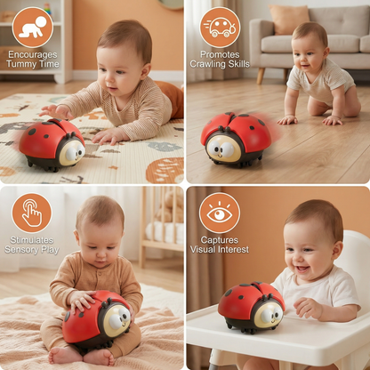 Ladybug Balloon Toy for Babies