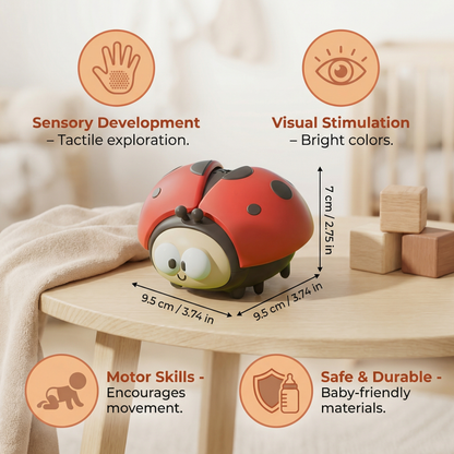 Ladybug Balloon Toy for Babies